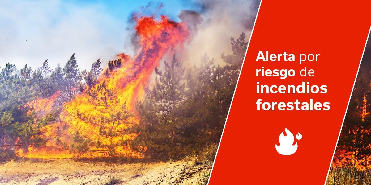 Emergencias establece el nivel de preemergencia extremo por riesgo de incendios forestales