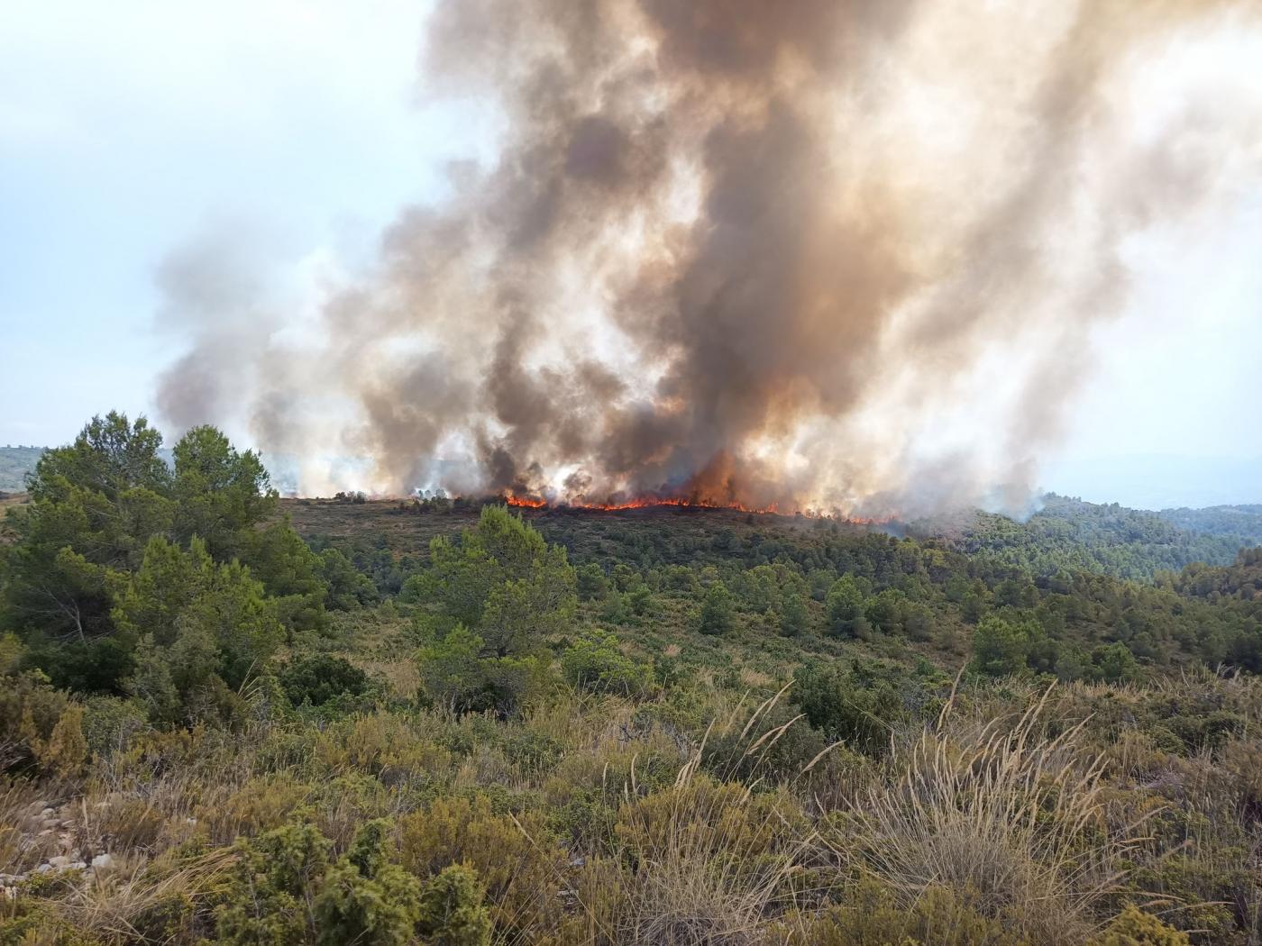 El incendio en Teresa de Cofrentes evoluciona favorablemente 