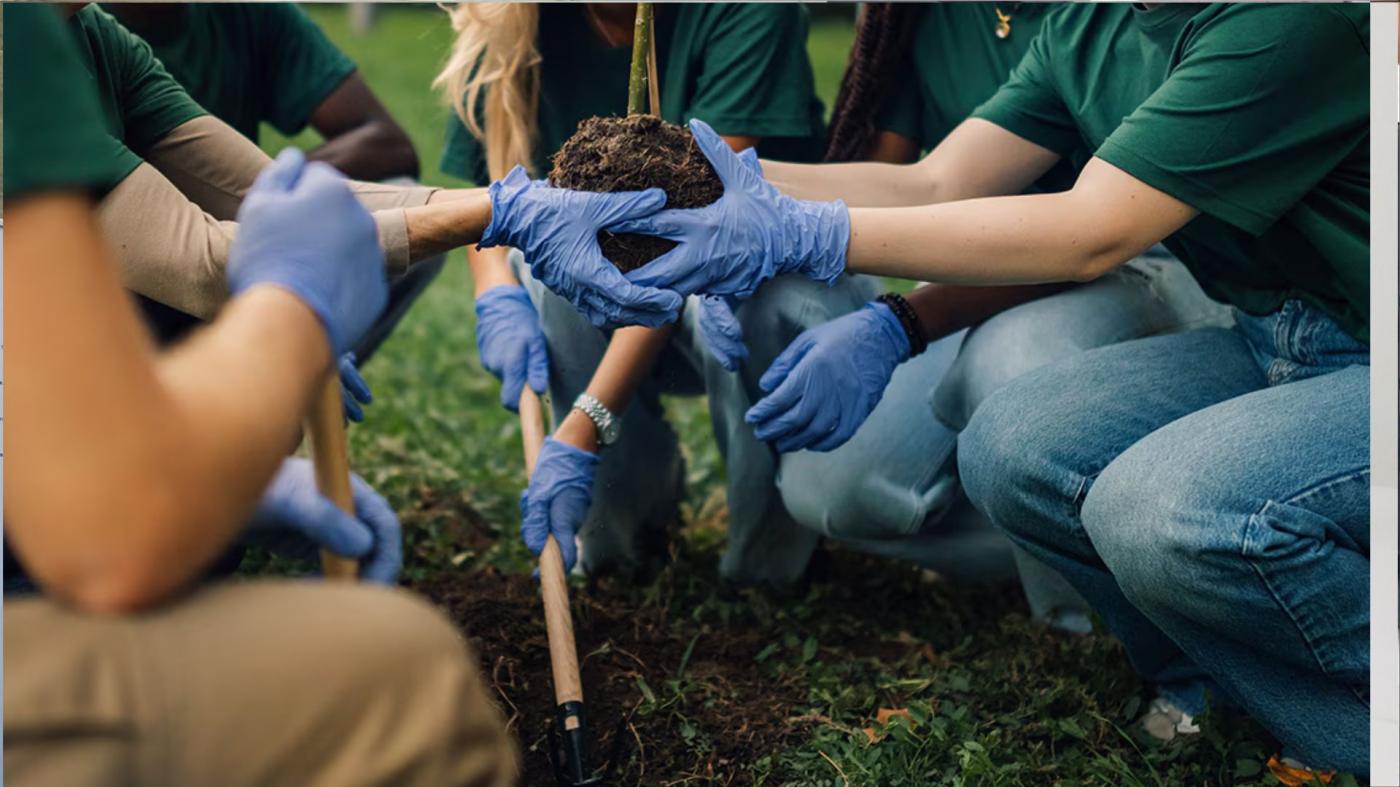 BBVA destinará 300.000 euros a cuatro proyectos solidarios 