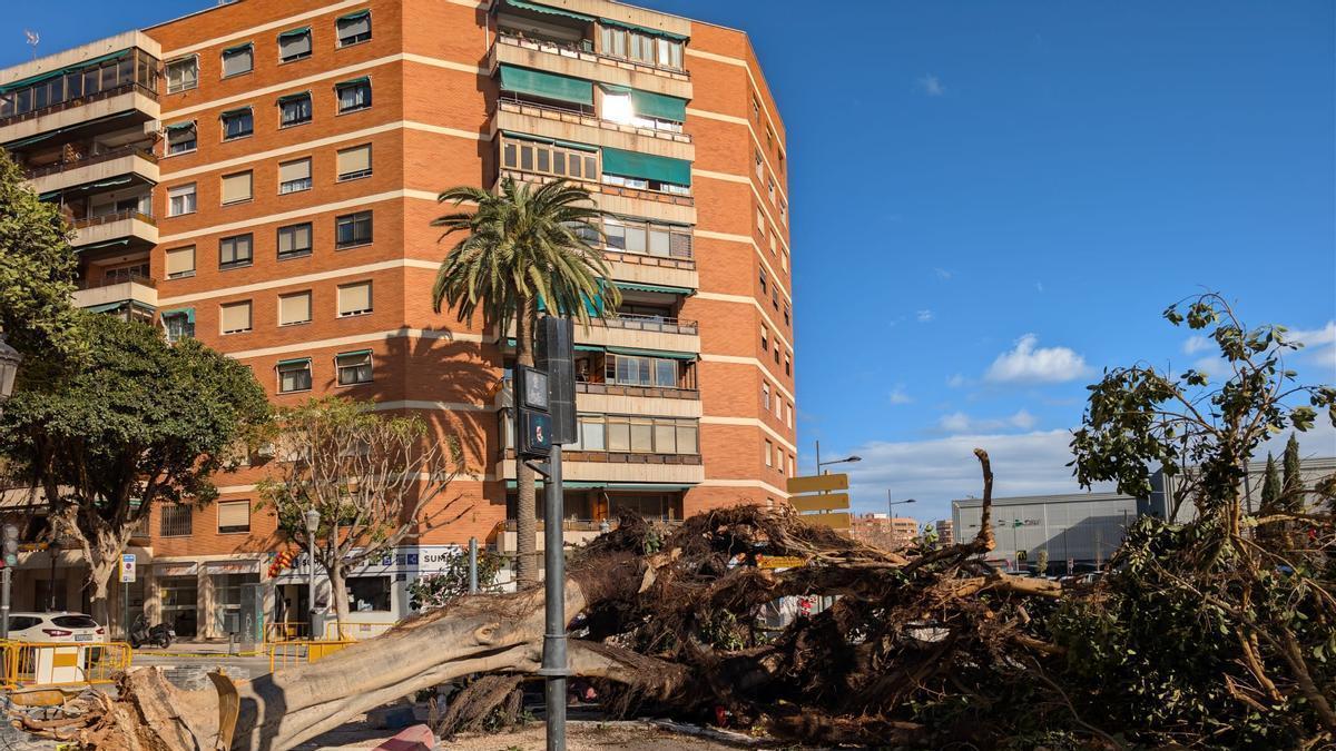 Borrasca Leonardo deja rachas de viento extraordinarias y provoca daños en Valencia